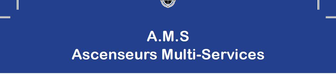 A.M.S. Ascenseurs Multi-Services Guebwiller