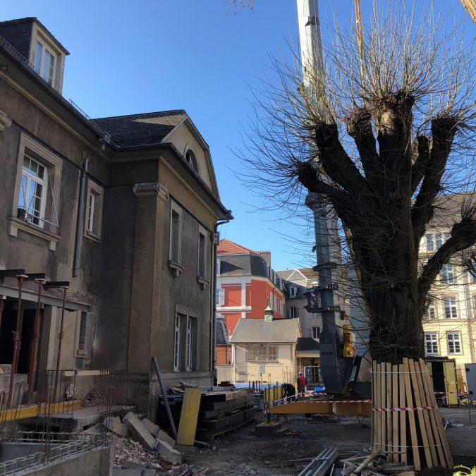 Restructuration de la demi-pension et de la vie scolaire du lycée Michel de Montaigne à Mulhouse Rixheim 2